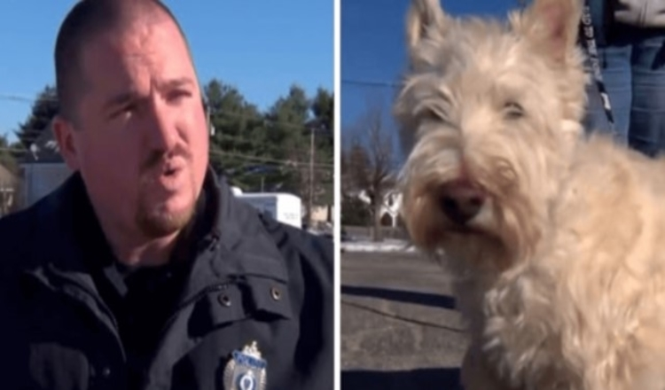 Kleiner Hund rennt auf Polizisten zu, beginnt laut zu bellen und bittet den Polizisten, ihm zu folgen