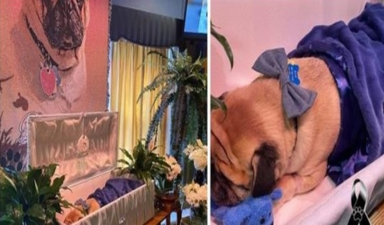 Mann hält Beerdigung ab, um sich von seinem geliebten Hund zu verabschieden und ihn zu ehren