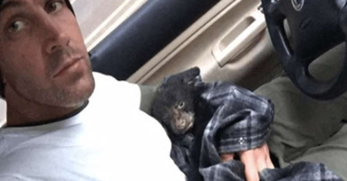 Mann rettet sterbendes Tier aus der Wildnis und wird kurz nach seiner Ankunft im Tierheim angeklagt