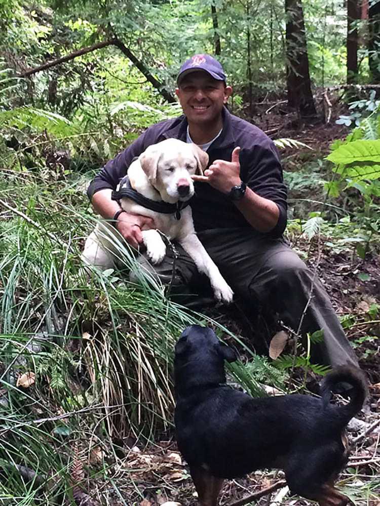 Blinder Hund seit 1 Woche im Wald verloren, von einem Feuerwehrmann gefunden und gerettet