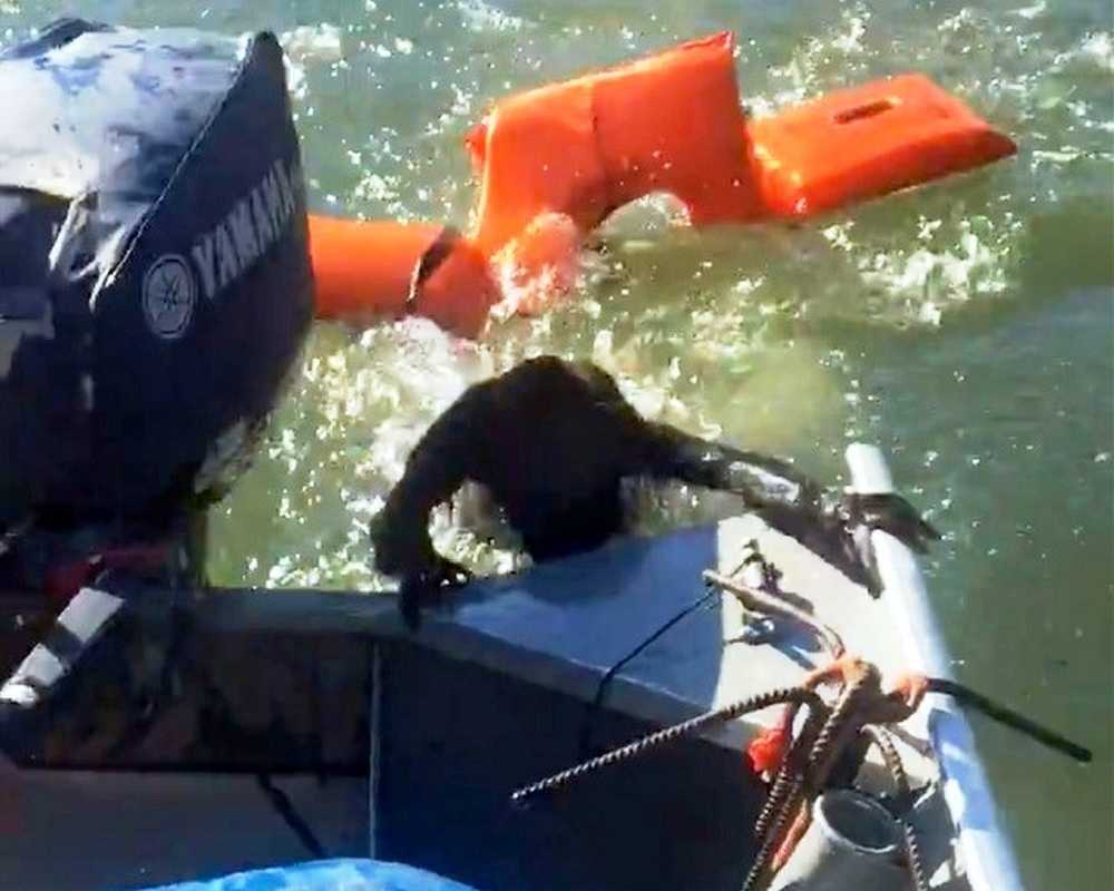 Fischer wirft Schwimmweste, um ertrinkenden Hund zu retten, aber es ist überhaupt kein Hund
