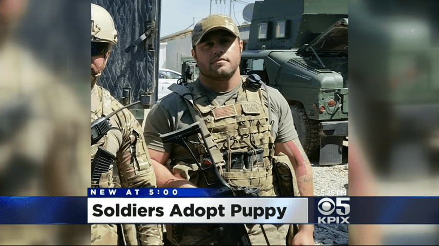 Ergebener Soldat adoptiert Hund, der ihn durch die Kriegstour im Irak brachte